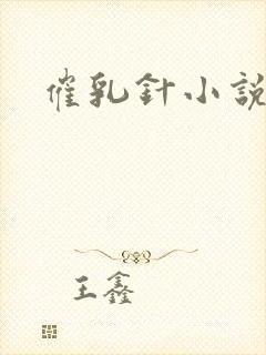 催乳针小说封面