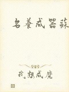 名养成器苏沫沫