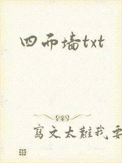 四面墙txt