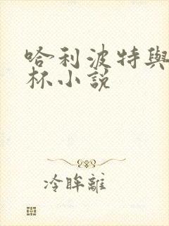 哈利波特与火焰杯小说