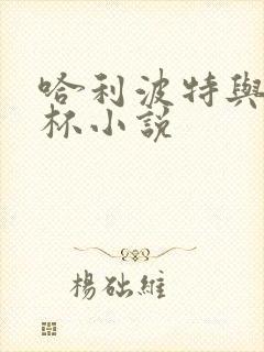 哈利波特与火焰杯小说