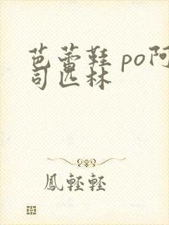 芭蕾鞋 po阿司匹林封面