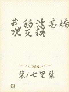 我的漂亮娇妻初次交换