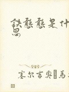 铁憨憨是什么意思