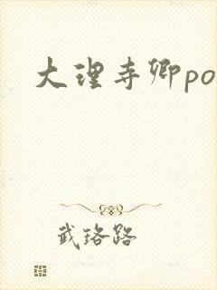 大理寺卿po封面