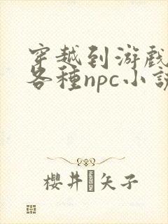 穿越到游戏里和各种npc小说