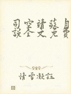 司空靖苏月汐小说全文免费阅读