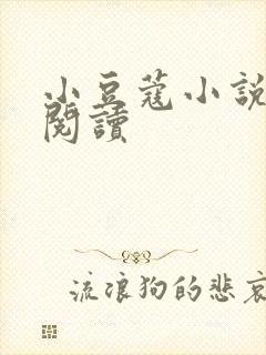 小豆蔻小说全文阅读