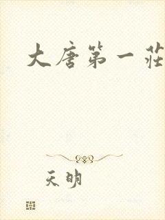 大唐第一庄