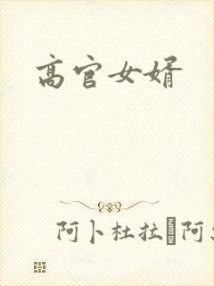 高官女婿