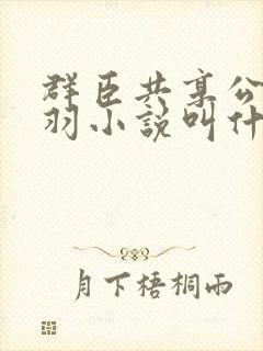 群臣共享公主银羽小说叫什么