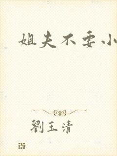 姐夫不要小说