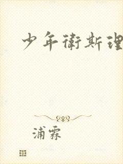 少年卫斯理封面