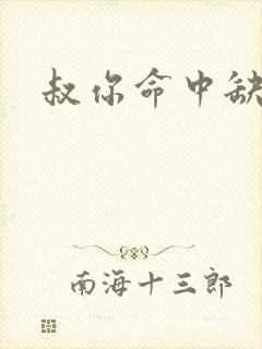 叔你命中缺我封面