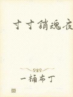 寸寸销魂夜春光