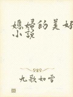 媳妇的美好时代小说