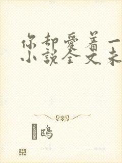 你却爱着一个他小说全文未删减免费