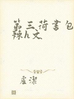 第三荷书包网高辣h文