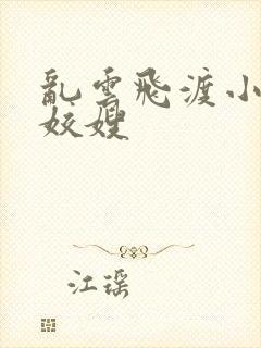 乱云飞渡小说之姣嫂