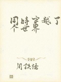 同时穿越了99个世界