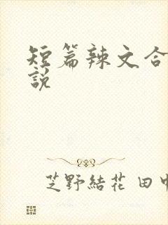 短篇辣文合集小说