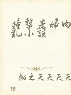 撞击老妇肉体之乱小说