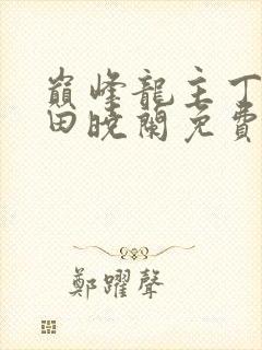 巅峰龙主丁长顺田晓兰免费阅读