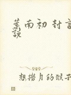 叶南初 封言小说