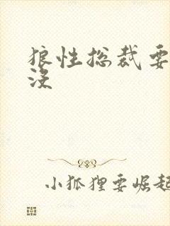 狼性总裁要够了没