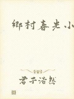 乡村春光小说