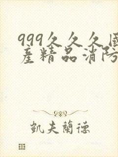 999久久久国产精品消防器材