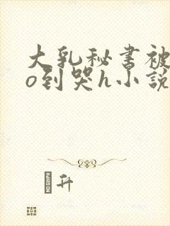 大乳秘书被cao到哭h小说