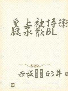 皇上被侍卫抵开腿承欢BL