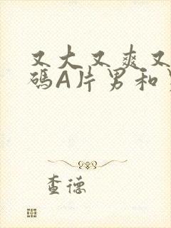 又大又爽又黄无码A片男和男