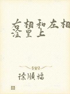 右相和左相一起淦皇上封面