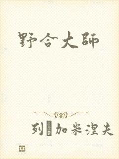 野合大师封面