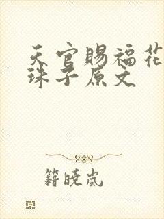 天官赐福花怜塞珠子原文