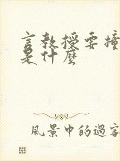 言教授要撞坏了是什么封面