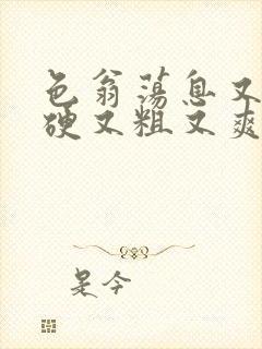 色翁荡息又大又硬又粗又爽封面