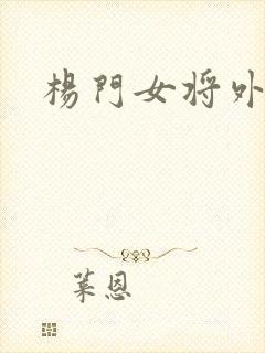 杨门女将外传