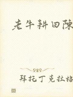 老牛耕田陈雪封面