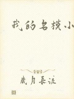 我的名模小娇妻