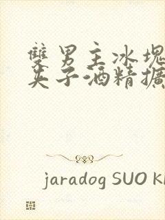 双男主冰块棉签夹子酒精扩张器