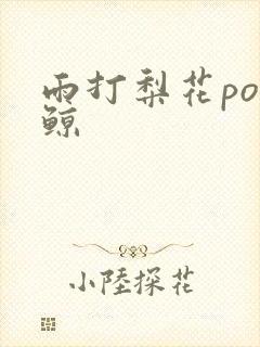 雨打梨花po问鲸