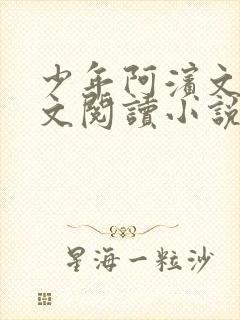 少年阿滨文全全文阅读小说封面