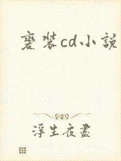 变装cd小说封面