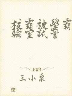 校霸被学霸压实验室试管