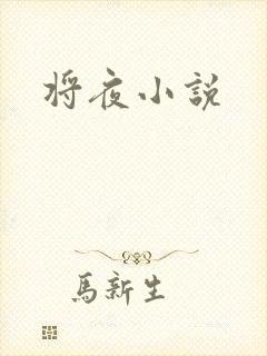 将夜小说封面
