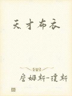 天才布衣封面