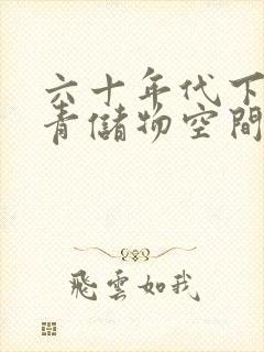 六十年代下乡知青储物空间封面